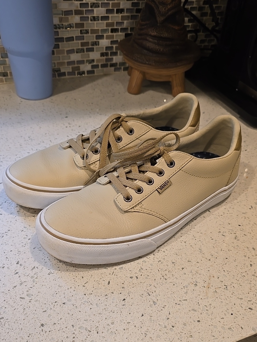 Vans Men’s Low-Top Sneakers in Beige/Tan